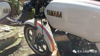 国产电驴改装视频大全下载,创意无限，改装技巧一网打尽